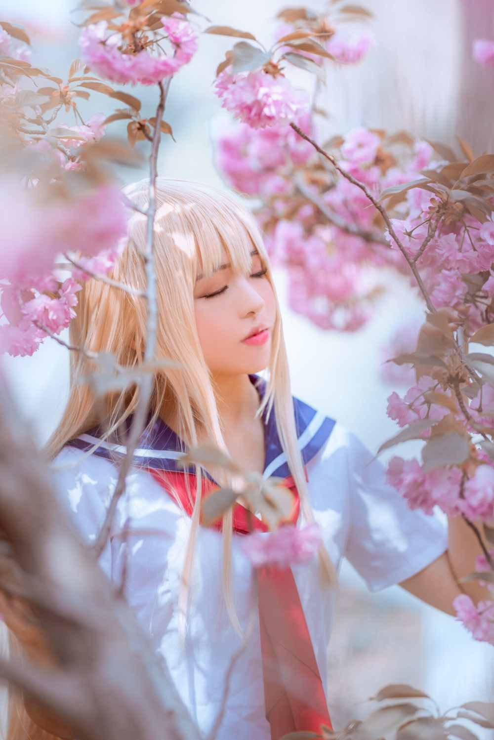 《C站·JK·第342期》我家有个狐仙大人天狐空幻