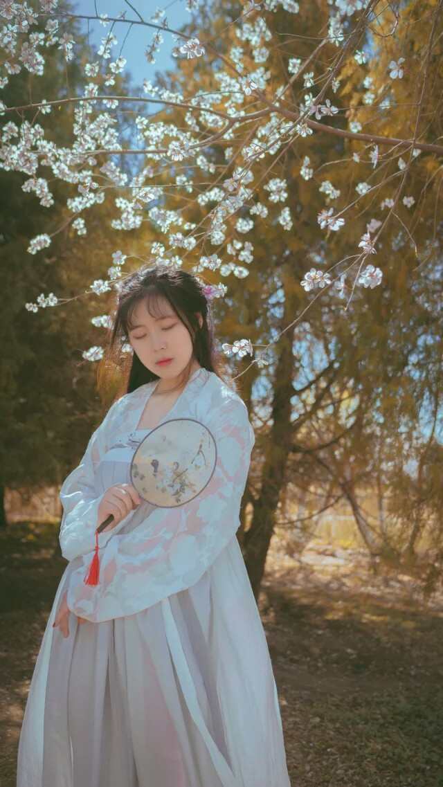 《77游戏社第864期》樱花妖