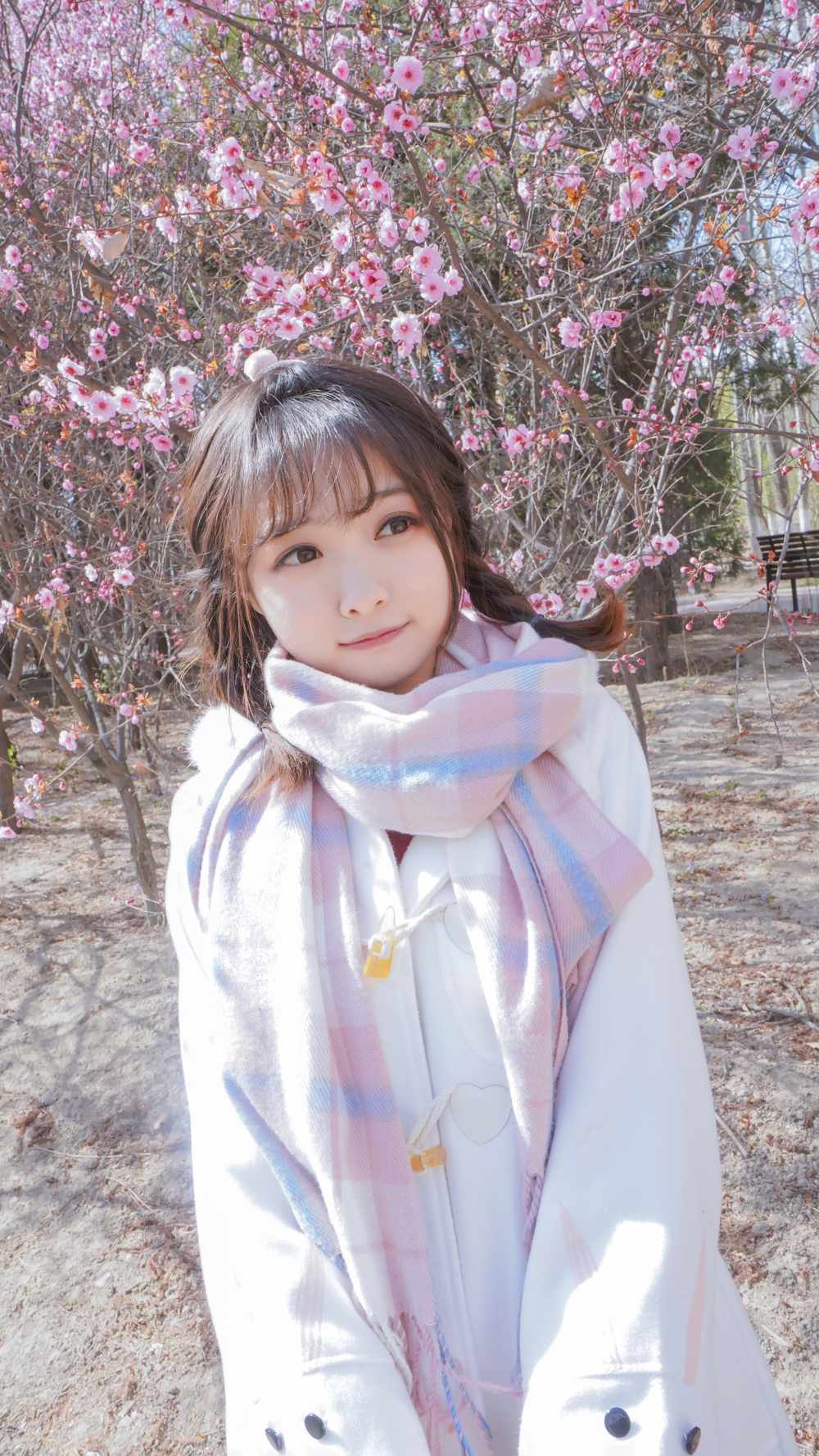 《77游戏社第863期》樱花桃花分不清楚