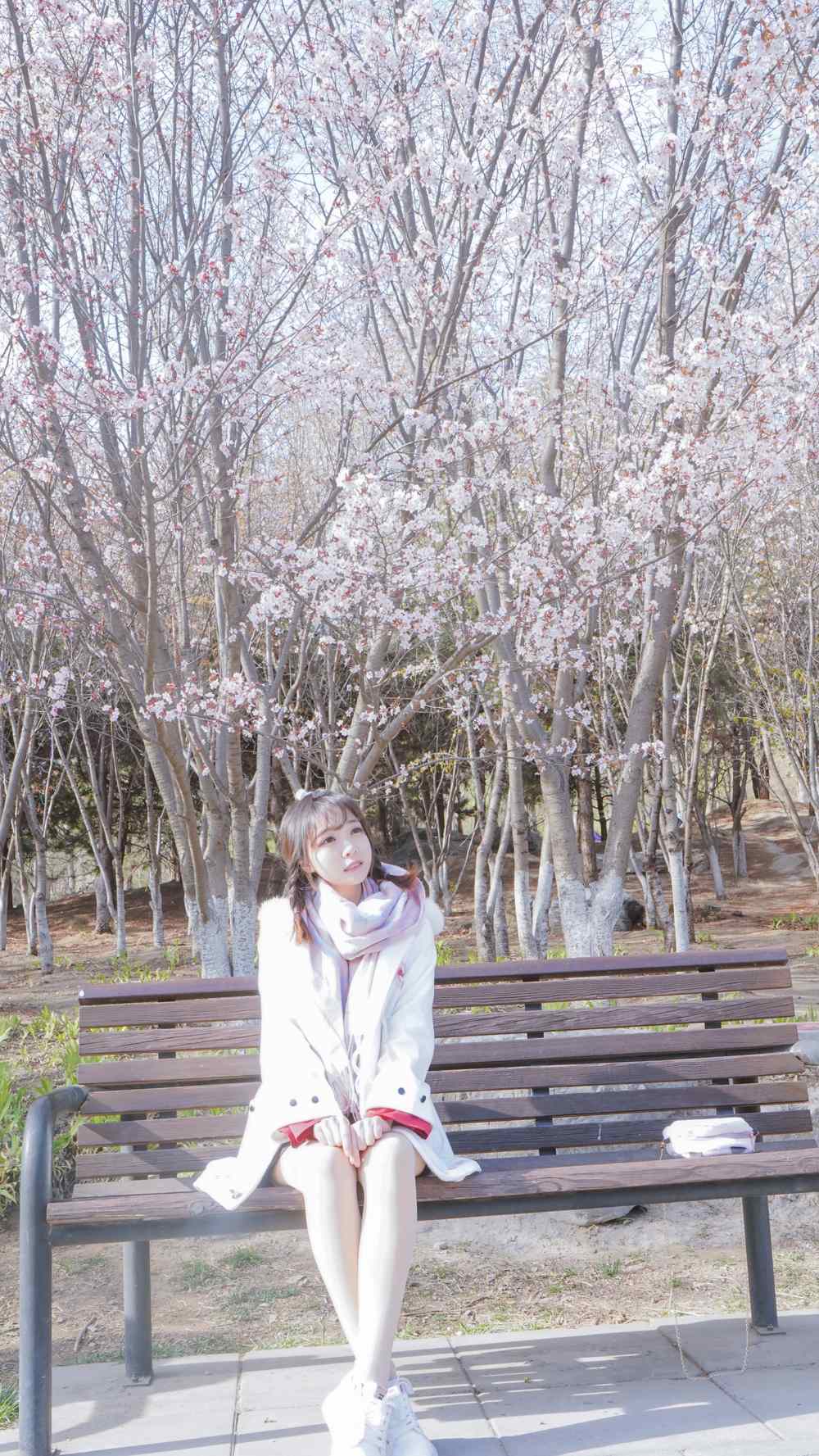 《77游戏社第863期》樱花桃花分不清楚