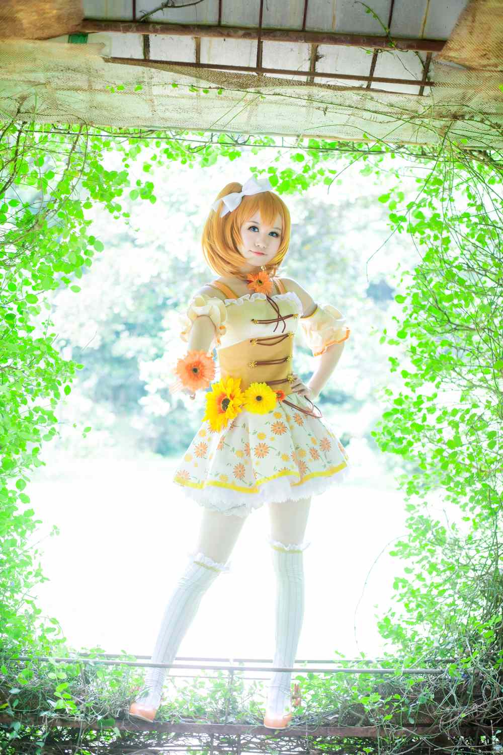 《77游戏社第833期》LOVELIVE!高坂穗乃果
