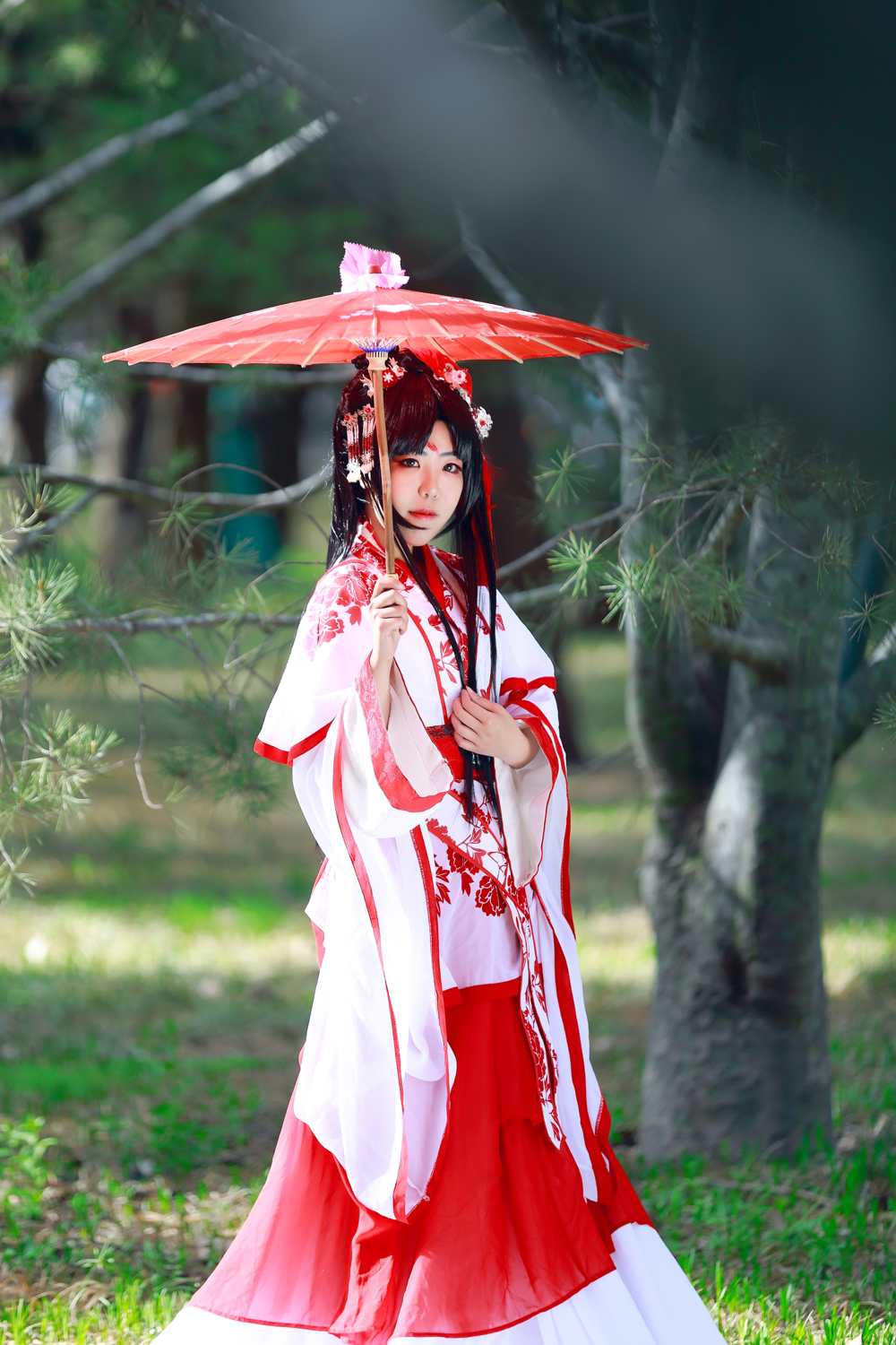 《汉服第701期》三生三生枕上书凤九