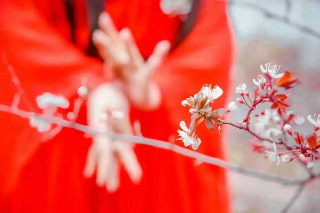 《汉服第717期》十里桃花