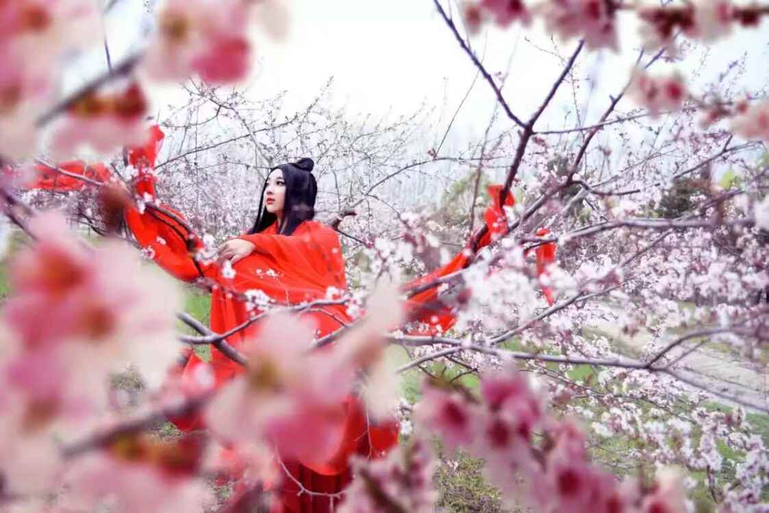 《汉服第717期》十里桃花