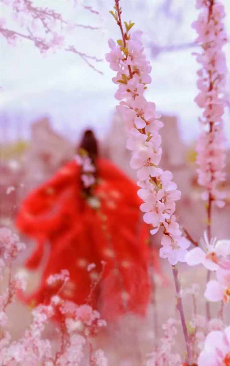 《汉服第717期》十里桃花