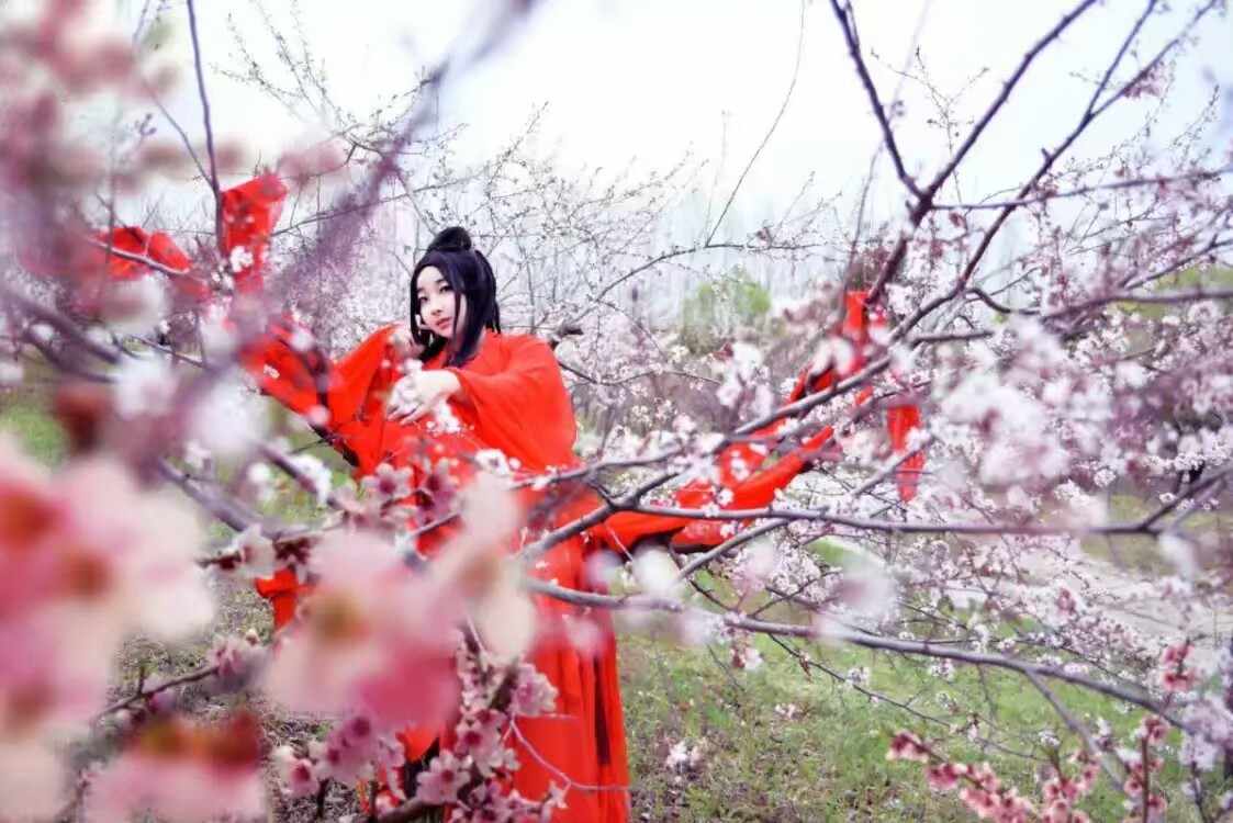 《汉服第717期》十里桃花