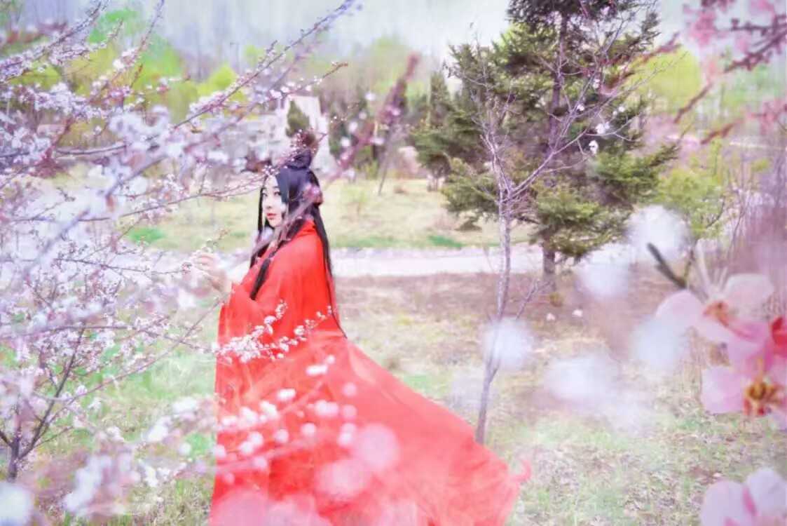《汉服第717期》十里桃花