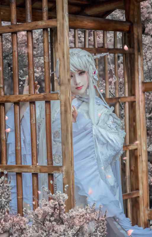 《汉服第654期》霹雳布袋戏芙蓉铸客