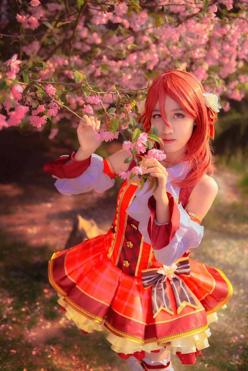 《77游戏社第753期》lovelive枫树叶觉醒