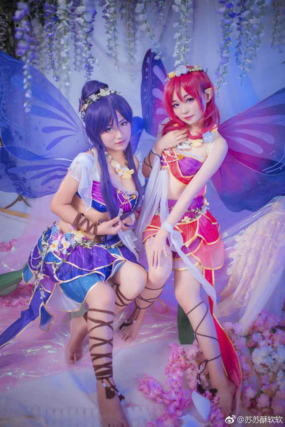 《77游戏社第697期》lovelive花妖觉醒