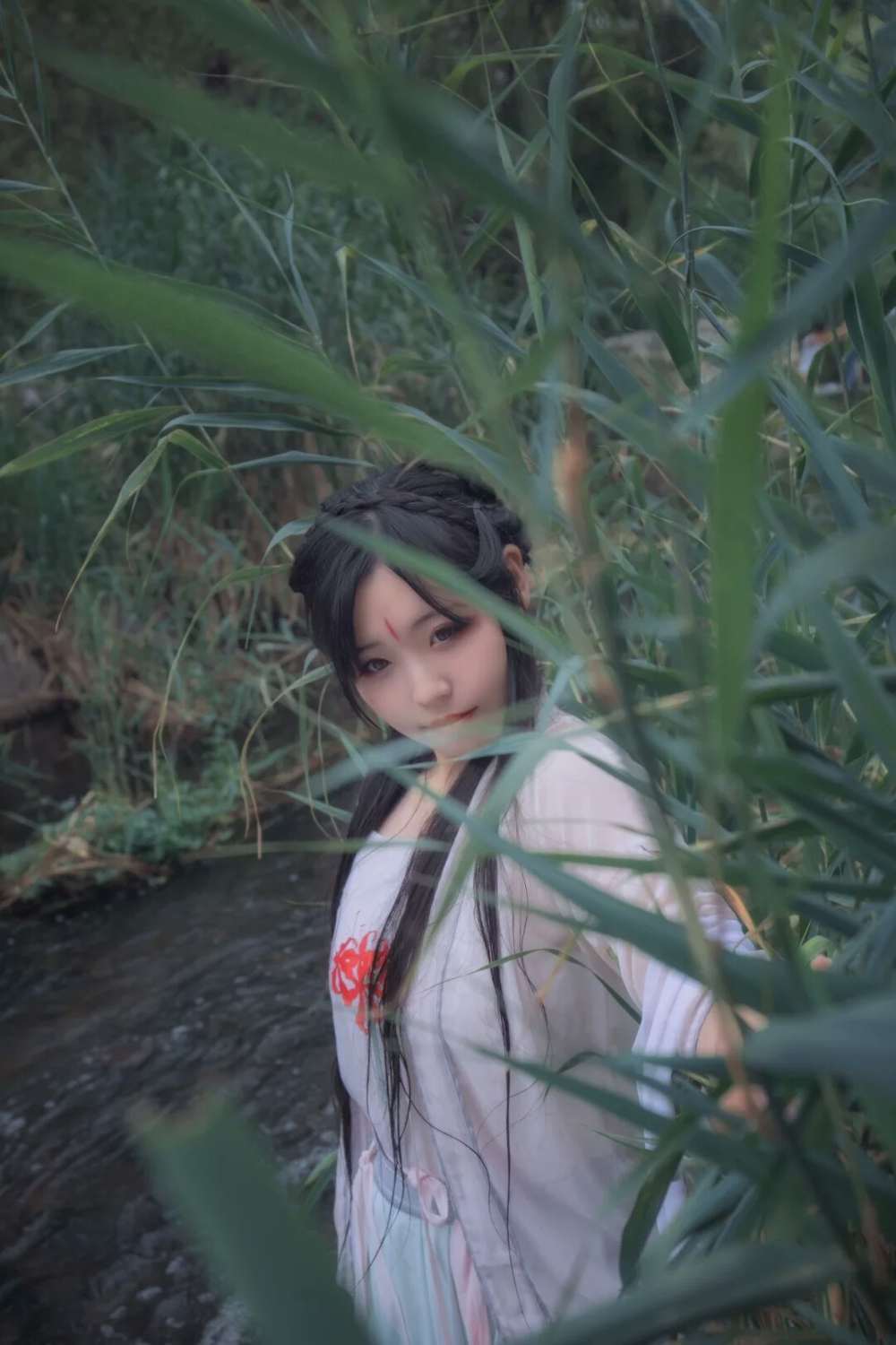 《汉服第588期》锦鲤抄