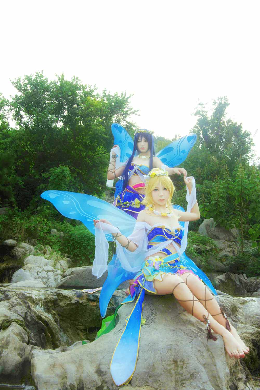 《77游戏社第584期》lovelive! 花妖觉醒蝴蝶仙子满天飞