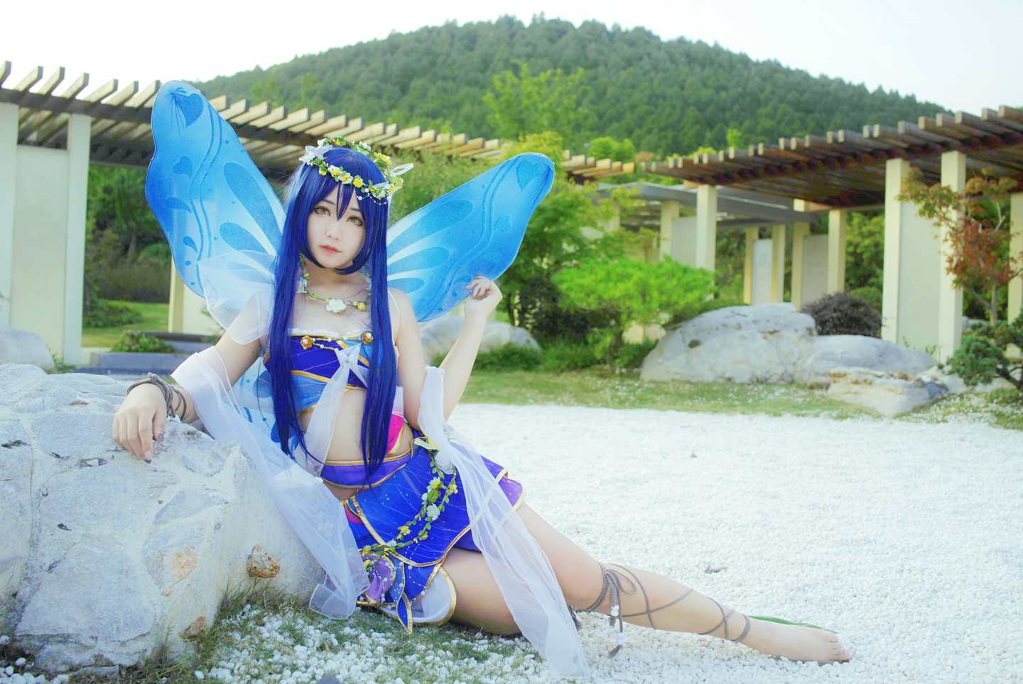 《77游戏社第584期》lovelive! 花妖觉醒蝴蝶仙子满天飞