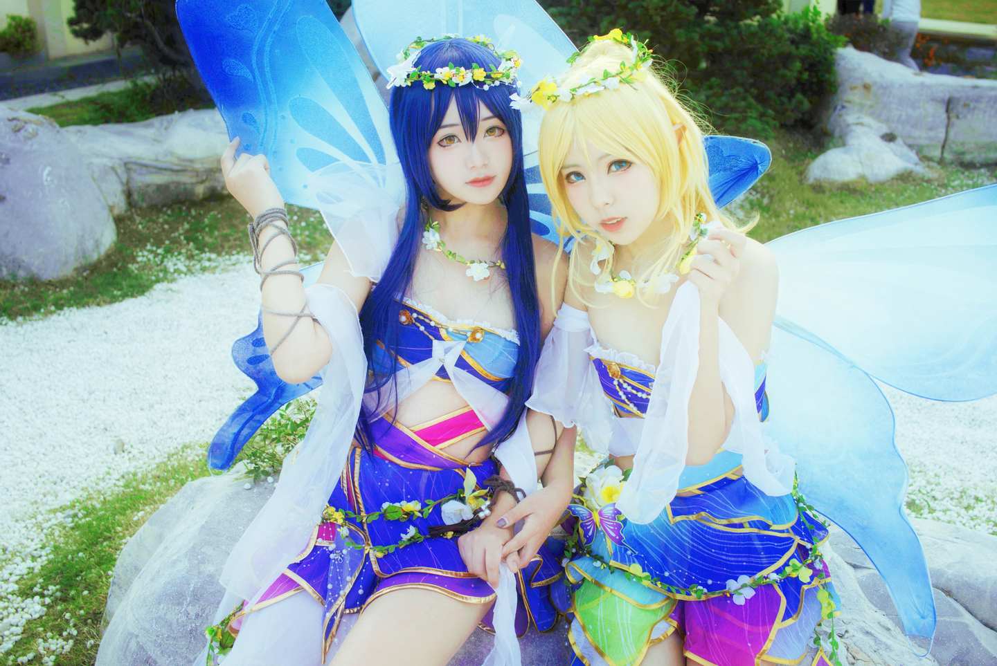 《77游戏社第584期》lovelive! 花妖觉醒蝴蝶仙子满天飞