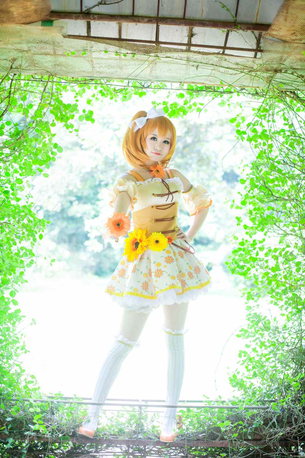 《77游戏社第608期》LOVELIVE!高坂穗乃果森林之女