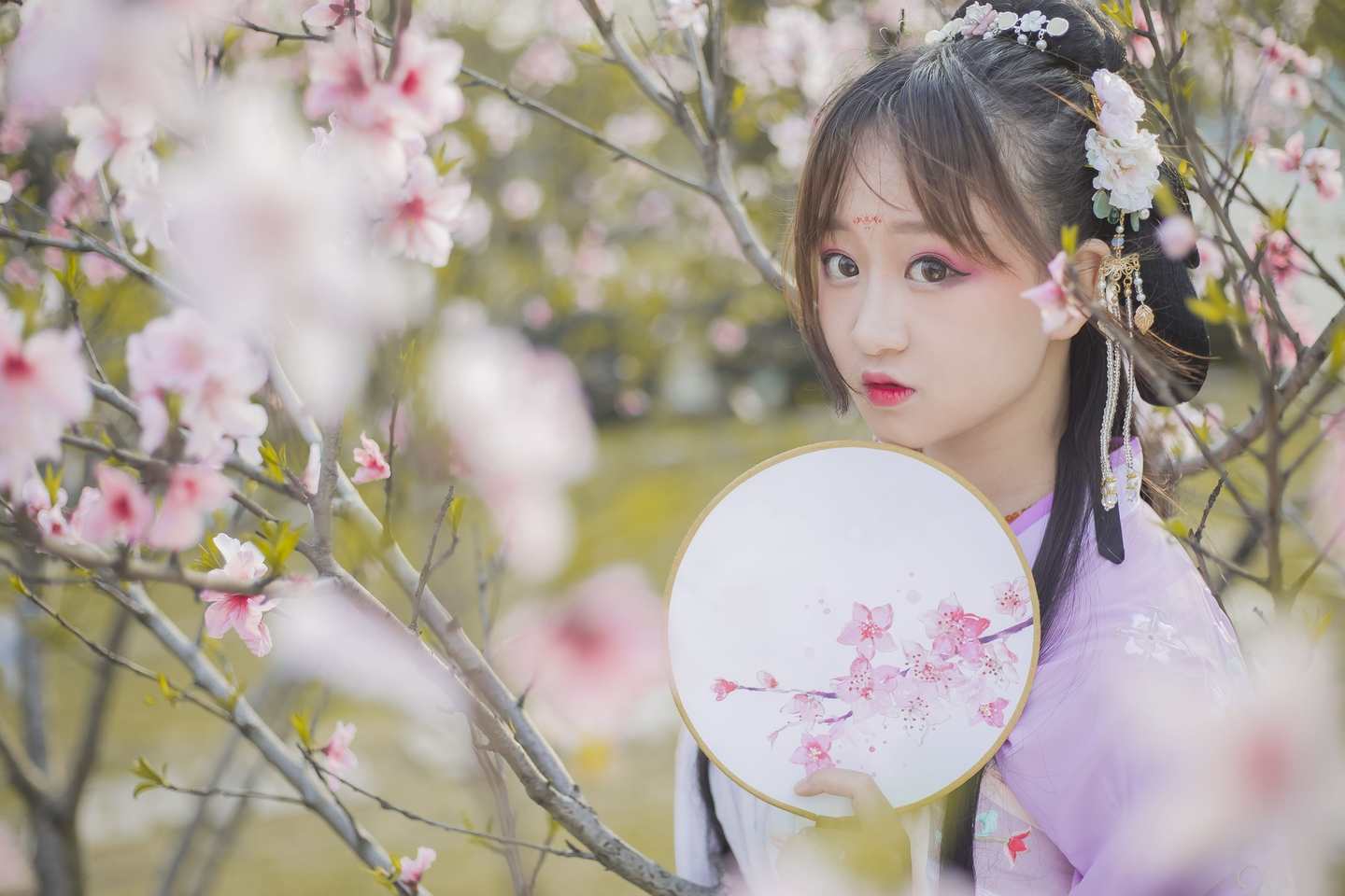 《汉服第387期》花枝飞舞  花飞花落