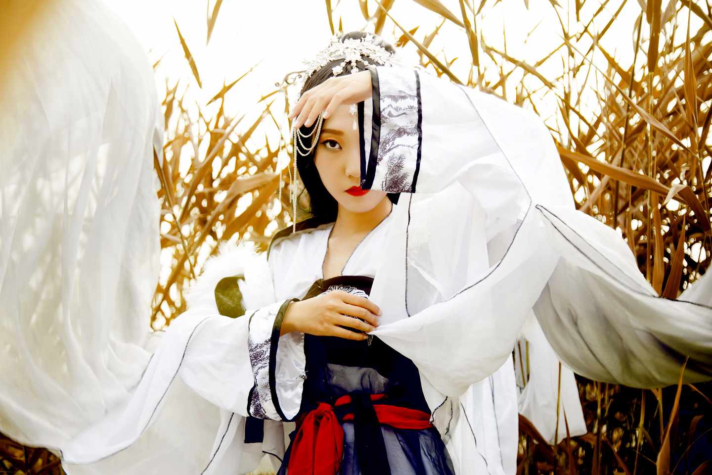 《汉服第381期》鹤拟人cosplay