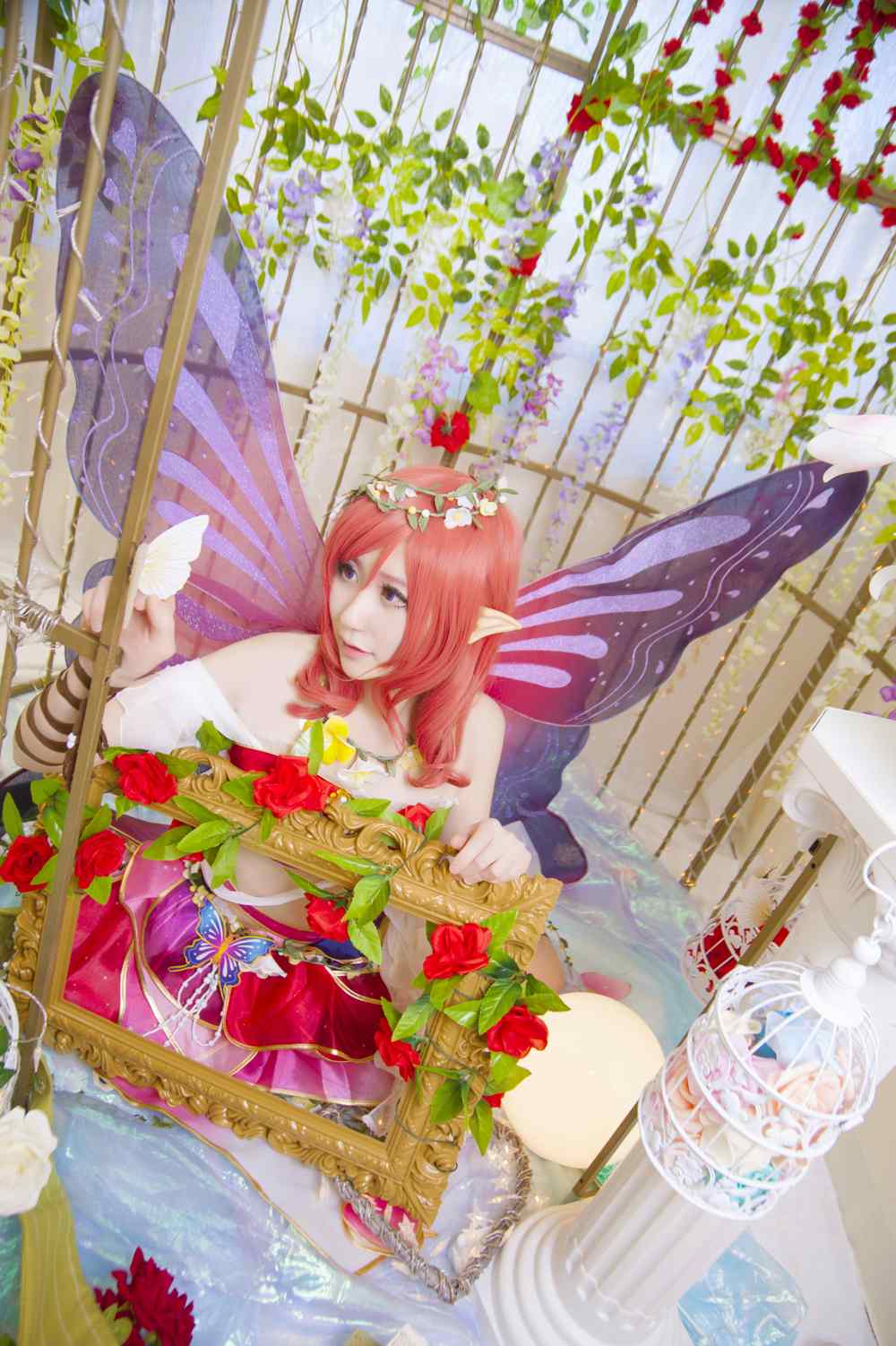 《77游戏社第557期》lovelive  真姬花妖精觉醒