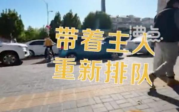 女生校内晕倒2流浪狗舔鼻唤醒-女孩和狗去医院