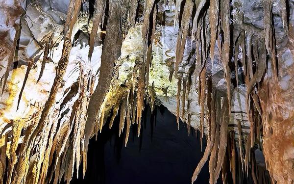 云南蒙自天坑发现百年未见极危物种—天坑的形成原因