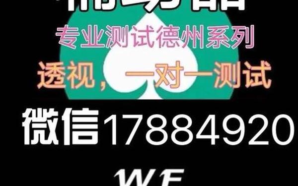 外挂破解(开挂辅助器)