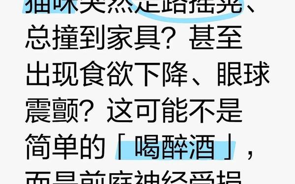 为什么闭上眼睛走路会东倒西歪 闭眼走路为什么会歪