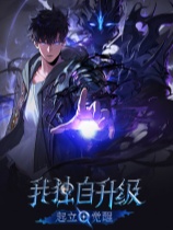 我独自升级：起立·觉醒 中文体验版