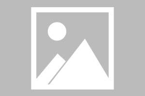 1月新番《玉子市场》南国谜样之鸟NETA对象判明