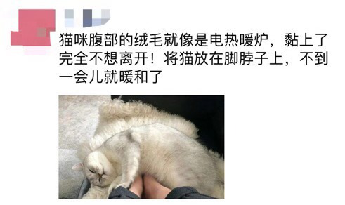 强势安利这部少女漫太高甜，动漫荒必点！