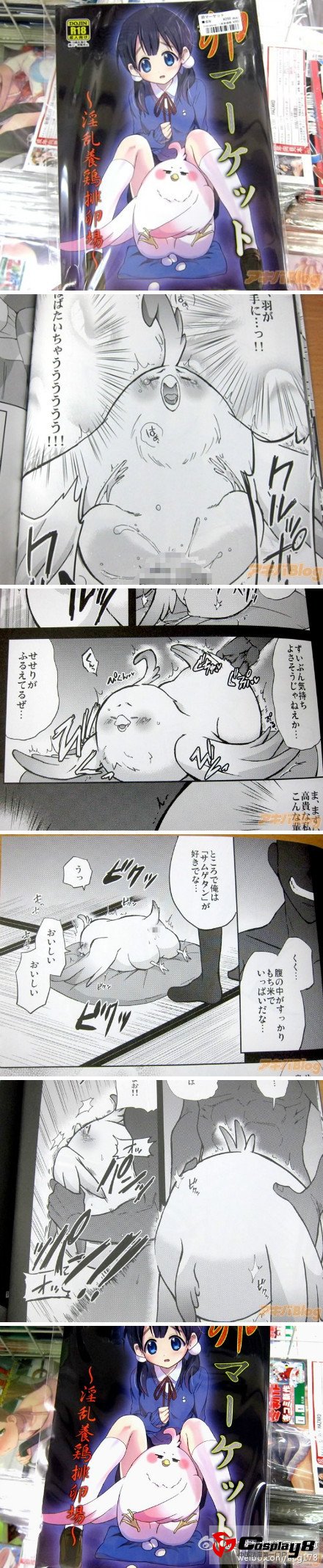 京阿尼新作《玉子市场》南国鸟雪人登场
