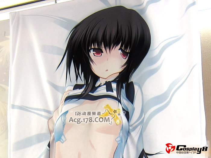 《电击Gs Festival!》附录特典烂手抱枕套