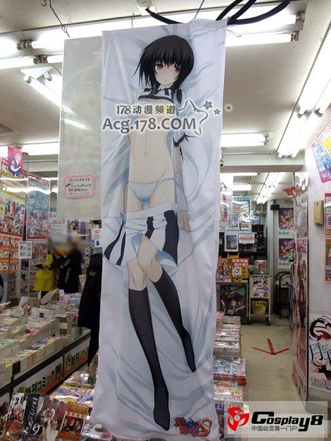 《电击Gs Festival!》附录特典烂手抱枕套