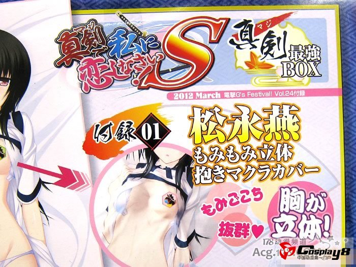 《电击Gs Festival!》附录特典烂手抱枕套