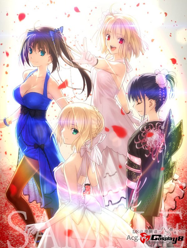 《TYPE-MOON Fes.》特典蓝光碟内容公开