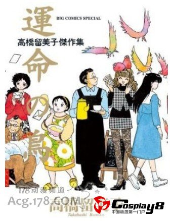 《高桥留美子剧场》真人电视剧版详情放出