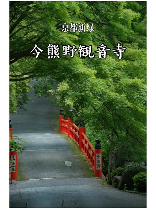京都异常 免安装绿色中文版