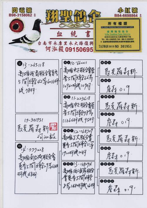 双曲肉鸽 中文正式版