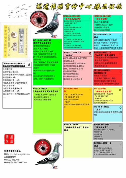 双曲肉鸽 中文正式版