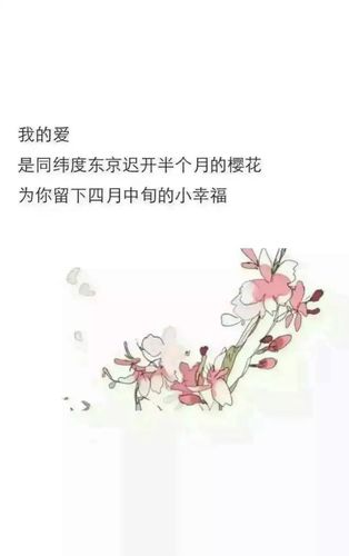 幸福!樱花庆典 免安装绿色版