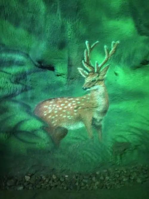 星星水族馆 免安装绿色中文版