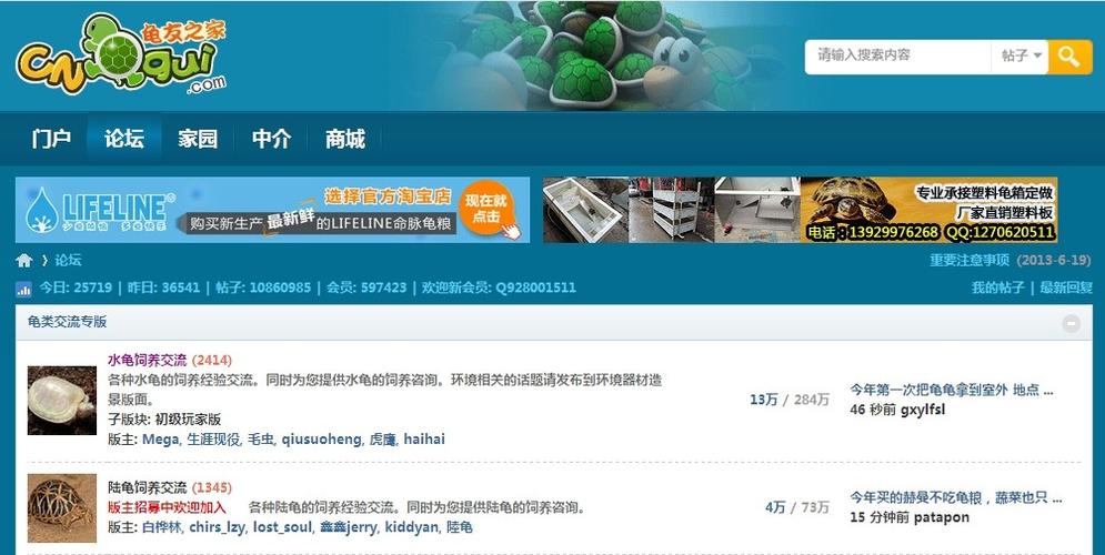 蛛友之家 免安装pc中文正版