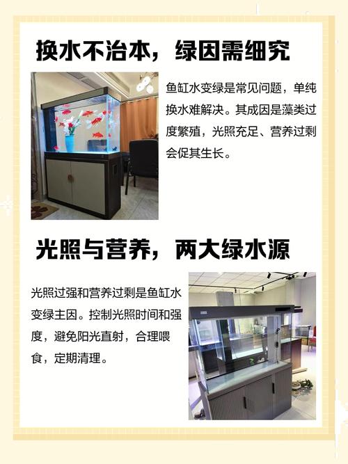 鱼缸:实境秀总导演 免安装绿色版