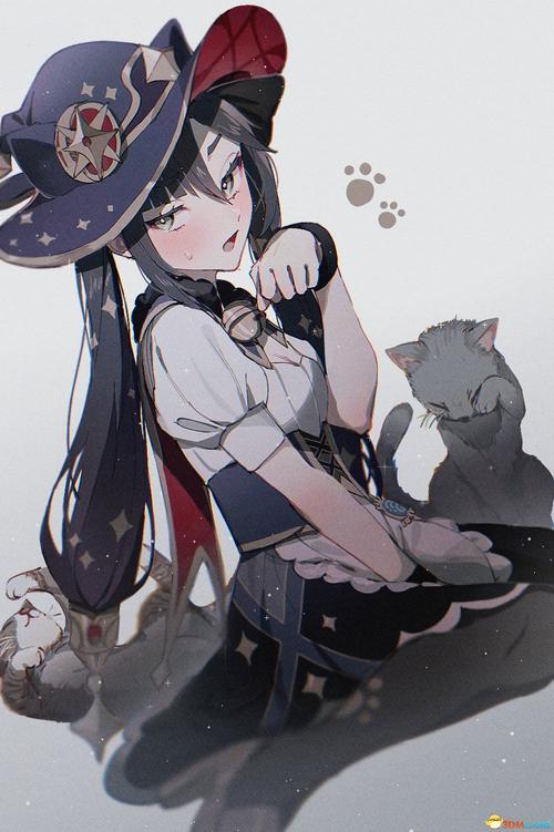 冒牌猫谜 正式中文版
