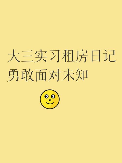 未知房东 免安装绿色版