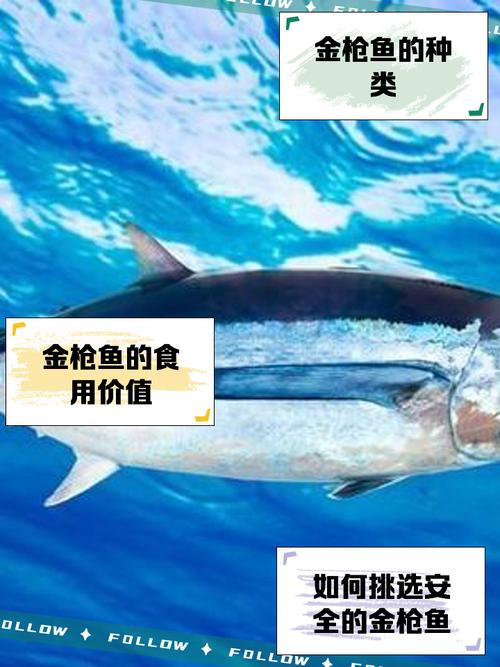水下金枪鱼 免安装绿色版