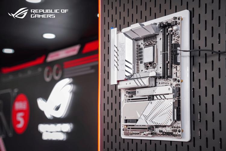 ROG DAY 2024星城狂欢 显卡实力与信仰尽情碰撞!