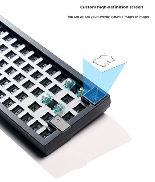 客制化热插拔轴 V500DIY-100&V700DIY热插拔型背光游戏机械键盘图赏