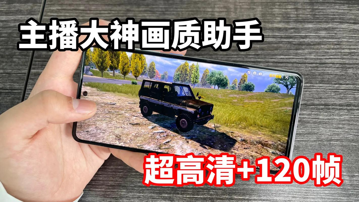 主播同款画质助手