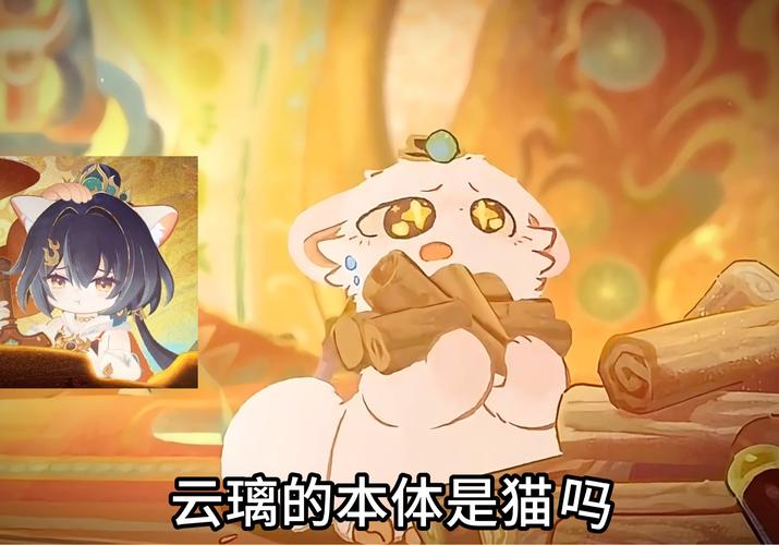 云猫玩官方版