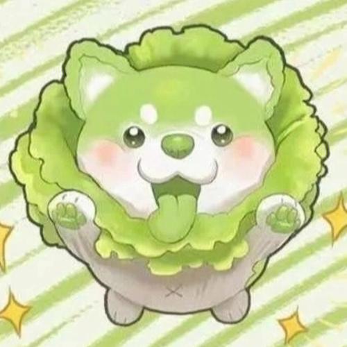 菜鸡最新版